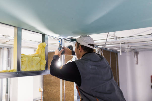 Best Specialized Insulation Services in Duarte, CA