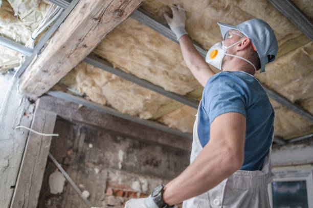 Professional Insulation Contractor in Duarte, CA