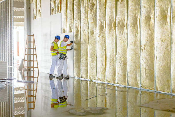 Types of Insulation We Offer in Duarte, CA